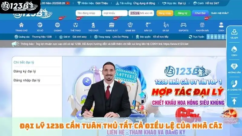 Đại lý 123B Đại lý 123B cần tuân thủ tất cả điều lệ của nhà cái