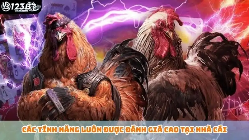 Đá gà trực tiếp 123B - Tips chọn chiến kê từ chuyên gia Các tính năng thường gặp khi chơi đá gà trực tiếp tại 123B