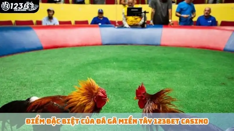 Đá gà miền Tây hôm nay - Nắm rõ luật chơi, tăng cơ hội thắng Điểm đặc biệt của đá gà miền Tây 123bet casino