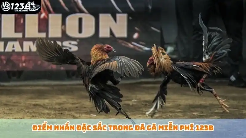 Điểm nhấn đặc sắc trong đá gà miễn phí 123B