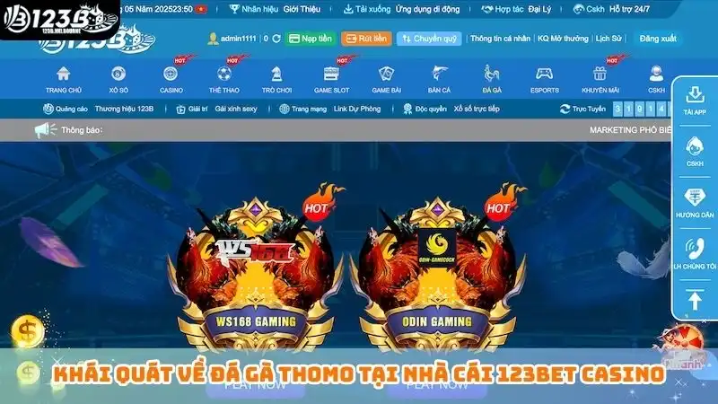 Đá gà Thomo mới nhất: Tường thuật trực tiếp full HD tại 123B Khái quát về đá gà Thomo tại nhà cái 123bet casino