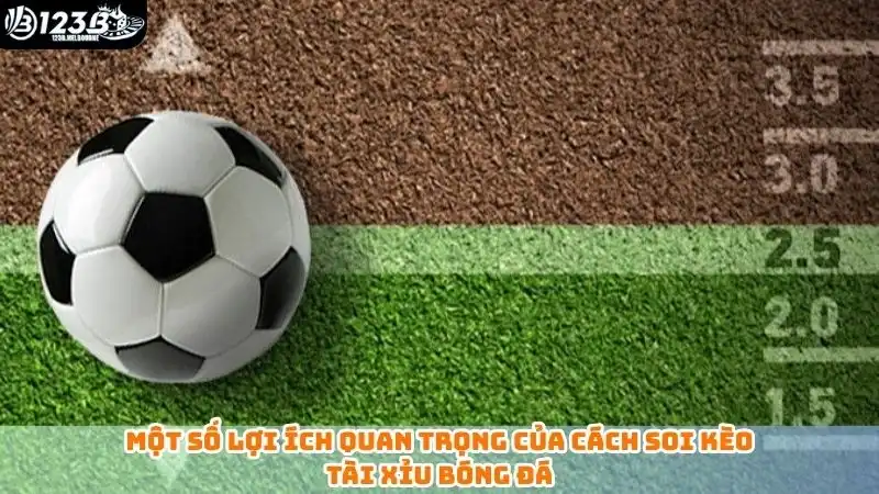 Một số lợi ích quan trọng của cách soi kèo tài xỉu bóng đá