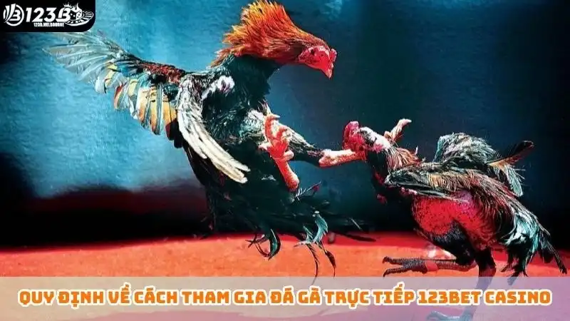 Đá gà trực tiếp 123B - Tips chọn chiến kê từ chuyên gia Quy định về cách tham gia đá gà trực tiếp 123bet casino
