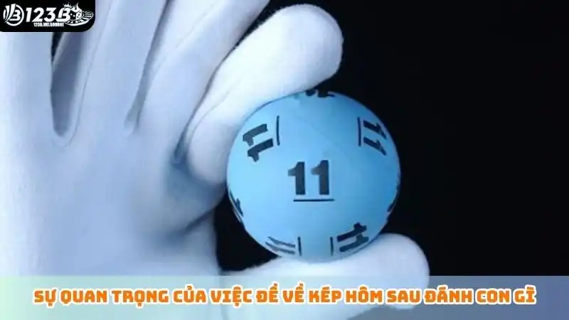 Đề về kép hôm sau đánh con gì tại nhà cái 123B casino Sự quan trọng của việc đề về kép hôm sau đánh con gì