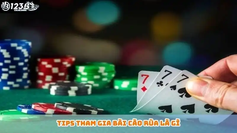 Tips tham gia bài cào rùa là gì
