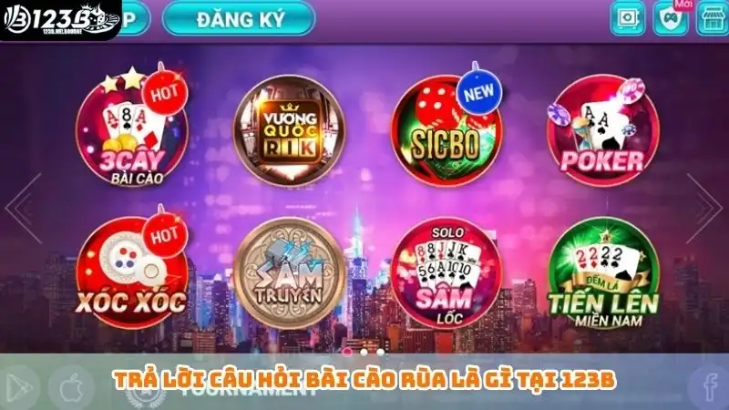 Trả lời câu hỏi bài cào rùa là gì tại 123B